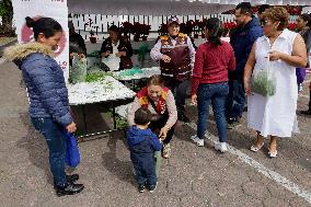 Merchants In Mexico City Are Busy Selling Their Products On Christmas Eve