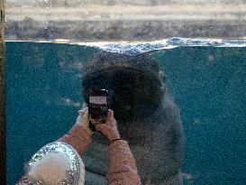 Wildlife At The Cincinnati Zoo