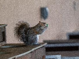 Wildlife At The Cincinnati Zoo