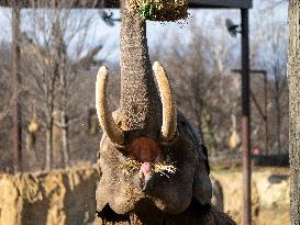 Wildlife At The Cincinnati Zoo