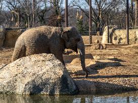 Wildlife At The Cincinnati Zoo