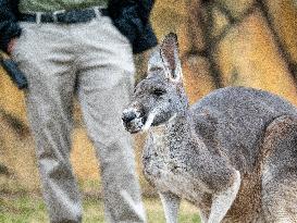 Wildlife At The Cincinnati Zoo