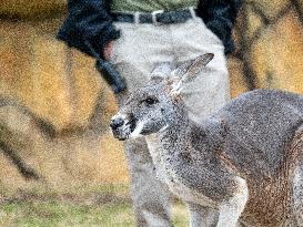 Wildlife At The Cincinnati Zoo