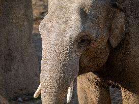 Wildlife At The Cincinnati Zoo