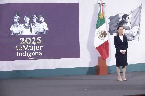 Mexican President Claudia Sheinbaum Pardo News Conference