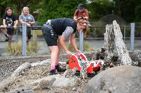 Christmas Treating For Animals At Orana Wildlife Park