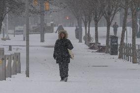 Snowy Day In Toronto, Canada