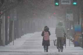 Snowy Day In Toronto, Canada