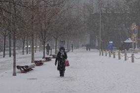 Snowy Day In Toronto, Canada