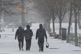 Snowy Day In Toronto, Canada