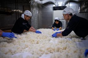 Sake Making At Jozan Brewery In Fukui - Japan