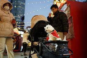 Christmas Market on the North Bund in Shanghai