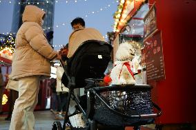 Christmas Market on the North Bund in Shanghai