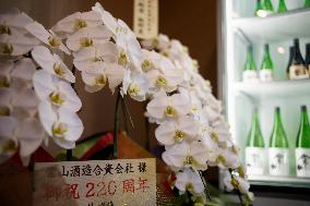 Sake Making At Jozan Brewery In Fukui - Japan