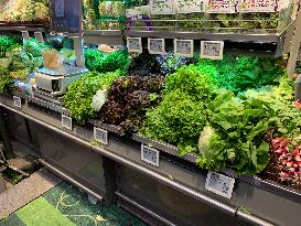 Plastic-Free Produce Section In Strasbourg Supermarket