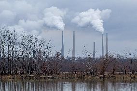 Pollution, Geese And Bald Eagles Seen At The Oxbow Nature Conservancy