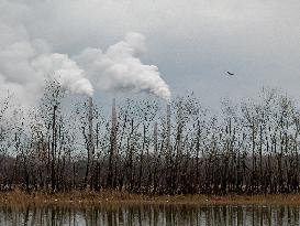 Pollution, Geese And Bald Eagles Seen At The Oxbow Nature Conservancy