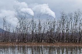 Pollution, Geese And Bald Eagles Seen At The Oxbow Nature Conservancy