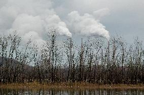 Pollution, Geese And Bald Eagles Seen At The Oxbow Nature Conservancy