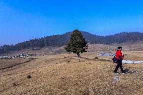 Dry Weather In Kashmir