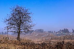 Dry Weather In Kashmir