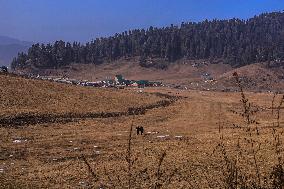 Dry Weather In Kashmir