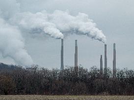 Pollution, Geese And Bald Eagles Seen At The Oxbow Nature Conservancy