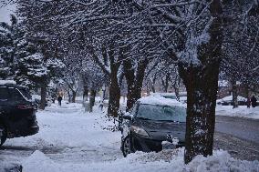 Toronto Gets Hit By Winter Snowstorm