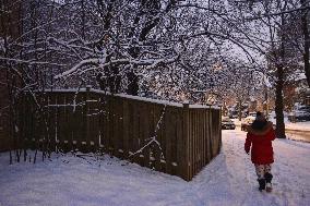 Toronto Gets Hit By Winter Snowstorm