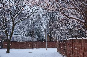 Toronto Gets Hit By Winter Snowstorm