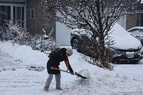 Toronto Gets Hit By Winter Snowstorm