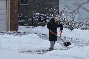 Toronto Gets Hit By Winter Snowstorm