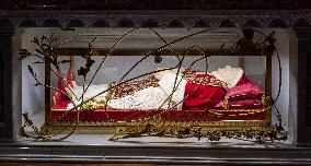 St. Peter's Basilica In Vatican City