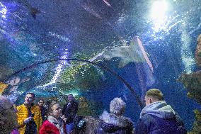 Malta National Aquarium in Qawra, St. Paul’s Bay