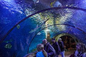 Malta National Aquarium in Qawra, St. Paul’s Bay