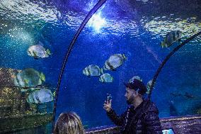 Malta National Aquarium in Qawra, St. Paul’s Bay