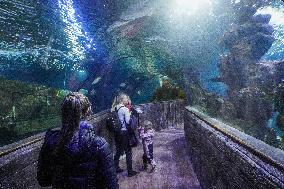 Malta National Aquarium in Qawra, St. Paul’s Bay