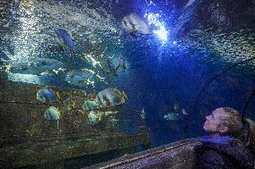 Malta National Aquarium in Qawra, St. Paul’s Bay