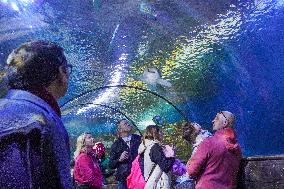 Malta National Aquarium in Qawra, St. Paul’s Bay