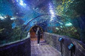 Malta National Aquarium in Qawra, St. Paul’s Bay