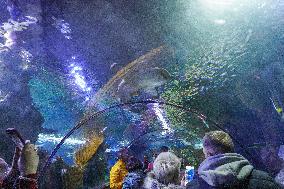 Malta National Aquarium in Qawra, St. Paul’s Bay