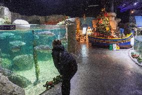 Malta National Aquarium in Qawra, St. Paul’s Bay