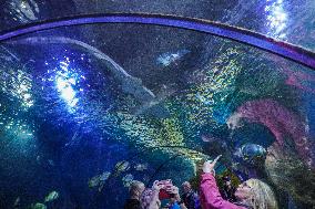 Malta National Aquarium in Qawra, St. Paul’s Bay