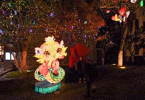 Year of the Snake Zodiac Lantern