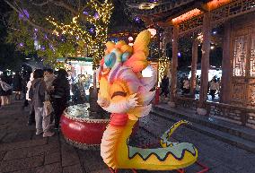 Year of the Snake Zodiac Lantern