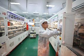 China PV Manufacturing Industry