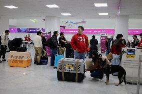 Migrants Spend Christmas Stranded In Mexico City