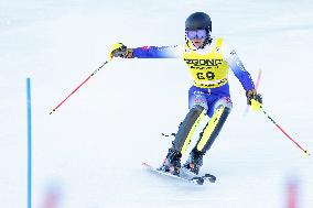 SPORT INVERNALI - Sci Alpino - AUDI FIS Ski World Cup - Slalom - Men