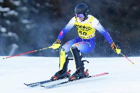 SPORT INVERNALI - Sci Alpino - AUDI FIS Ski World Cup - Slalom - Men