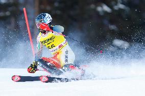 SPORT INVERNALI - Sci Alpino - AUDI FIS Ski World Cup - Slalom - Men